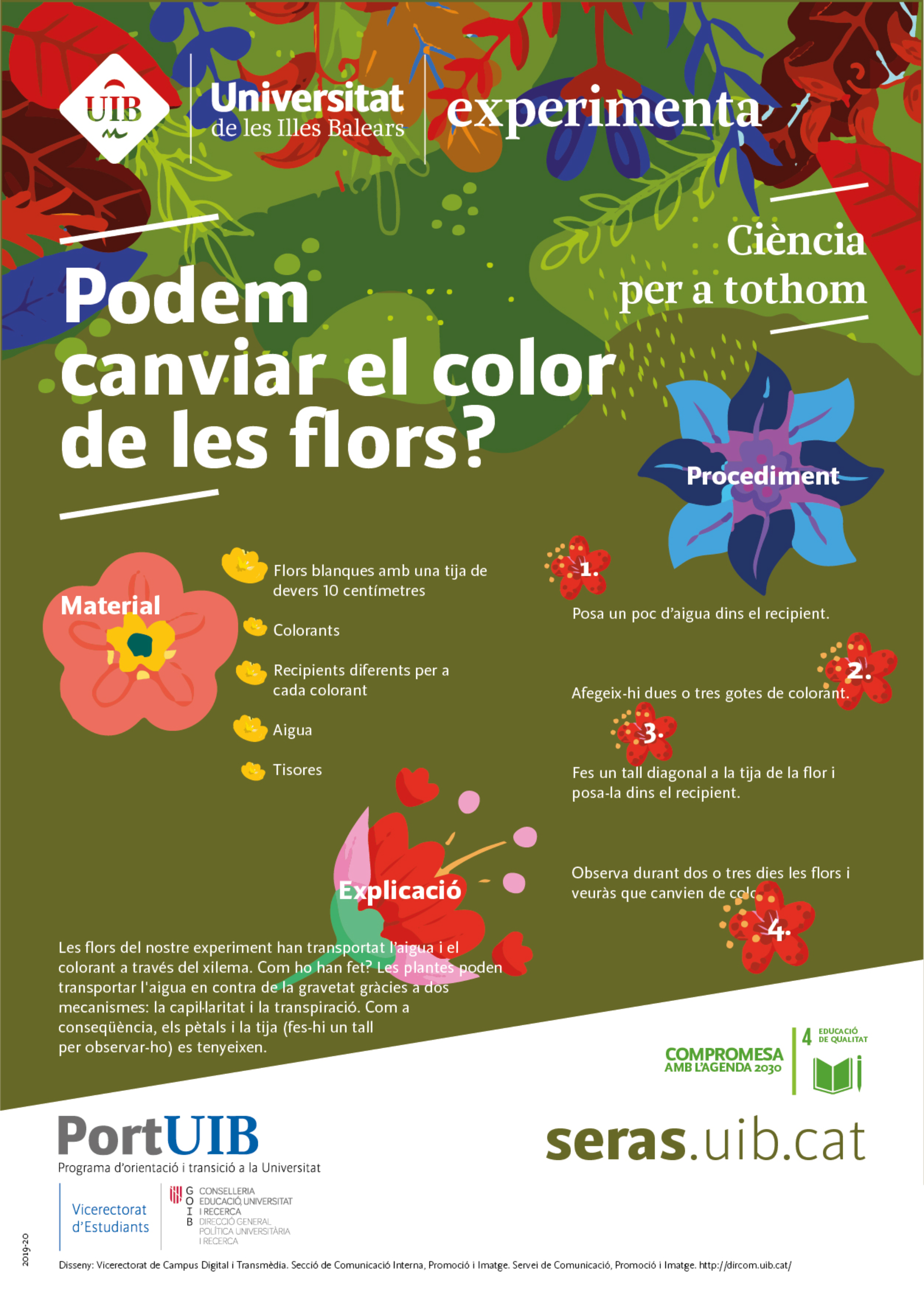 Podem canviar el color de les flors?