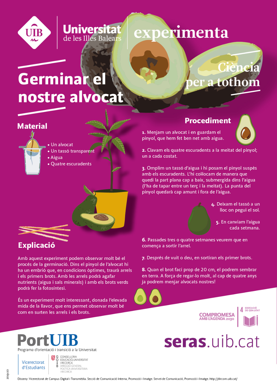 Germinam el nostre alvocat