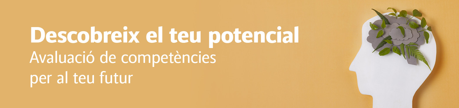 Descobreix el teu potencial: Avaluació de competències per al teu futur